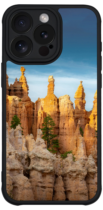 Custom printed phone case example